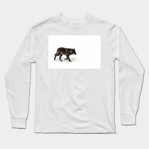 Black Wolf in winter Long Sleeve T-Shirt by Jim Cumming